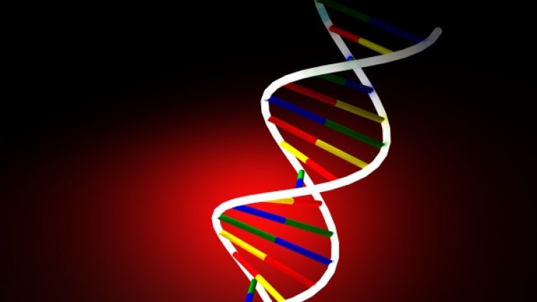 Снимка: freeimages.com