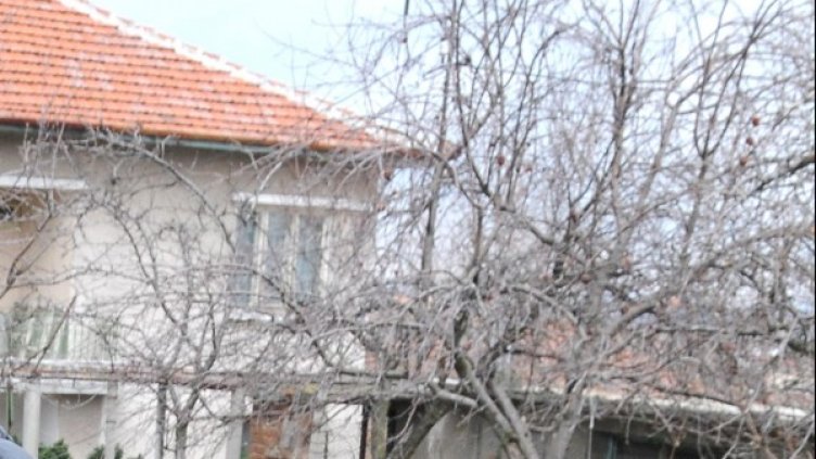 Снимка: Булфото, архив