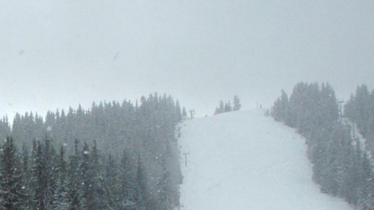 Снимка: архив, БулФото