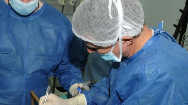 Снимка, архив Булфото