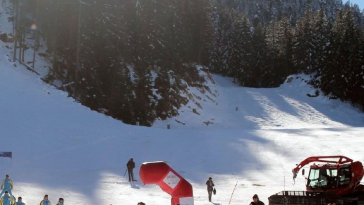 Снимка: архив, Булфото