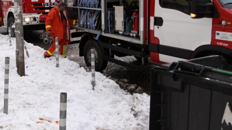 Снимка: Булфото