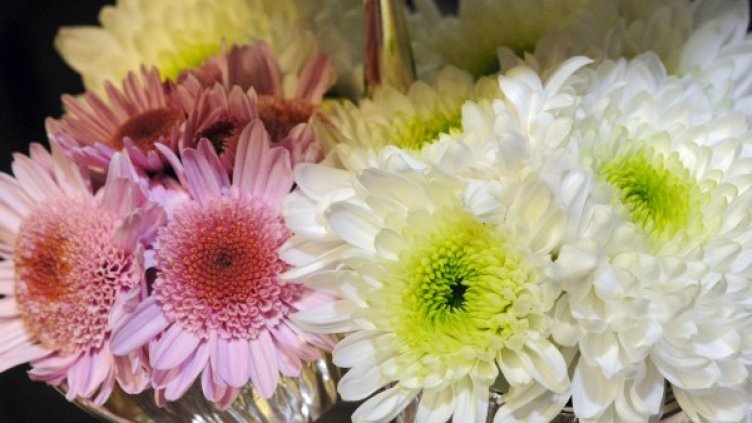 Снимка: Булфото, архив