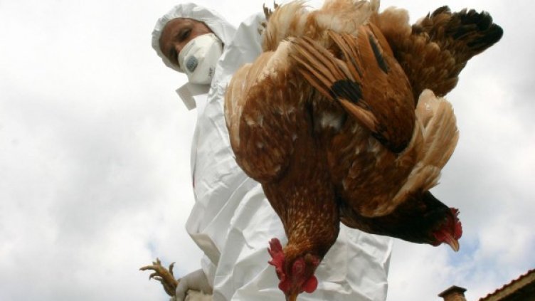 Снимка: Булфото, архив