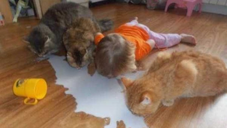 За добро или лошо: Малчугани в действие! 