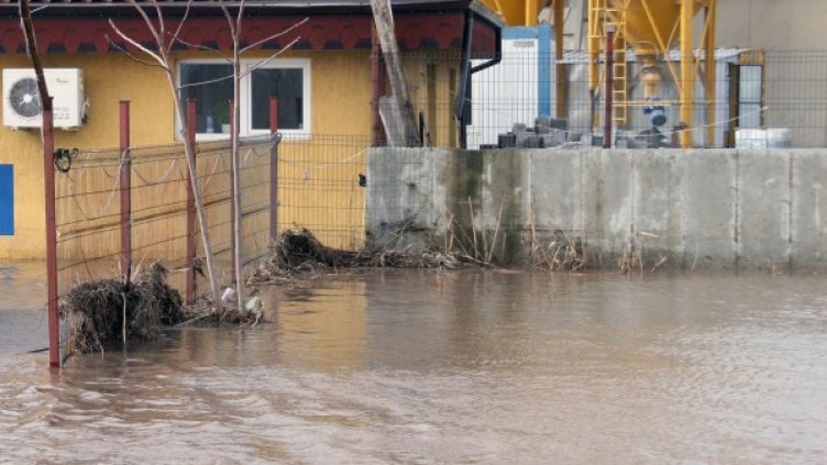 Архив: Булфото