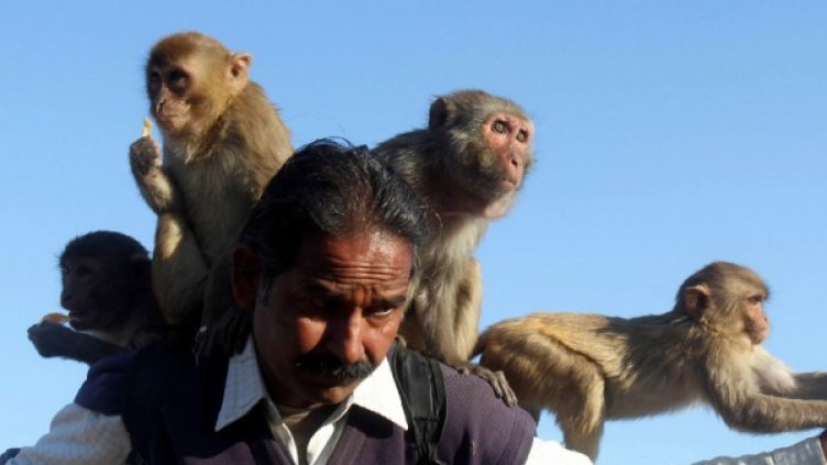 Снимка: архив, Reuters