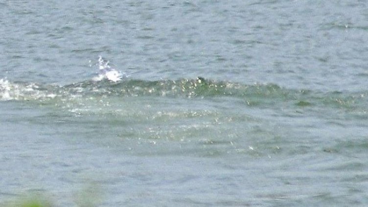 Снимка: архив, БулФото