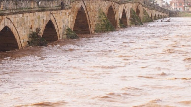 Архив: Булфото