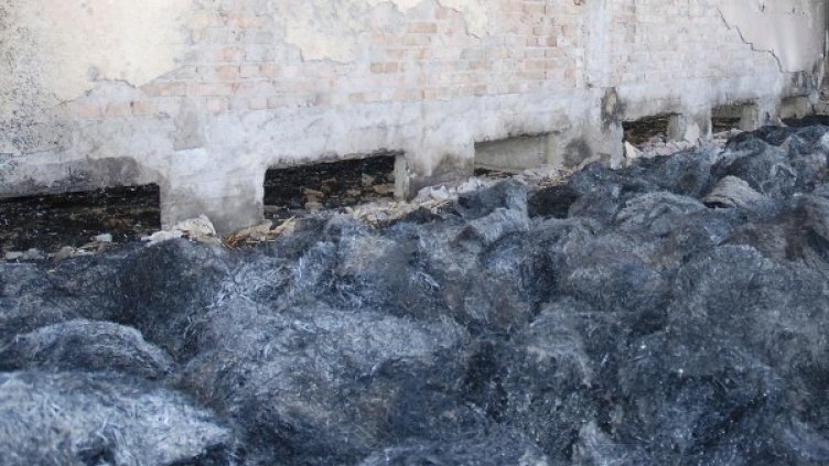 Снимка: Булфото, архив