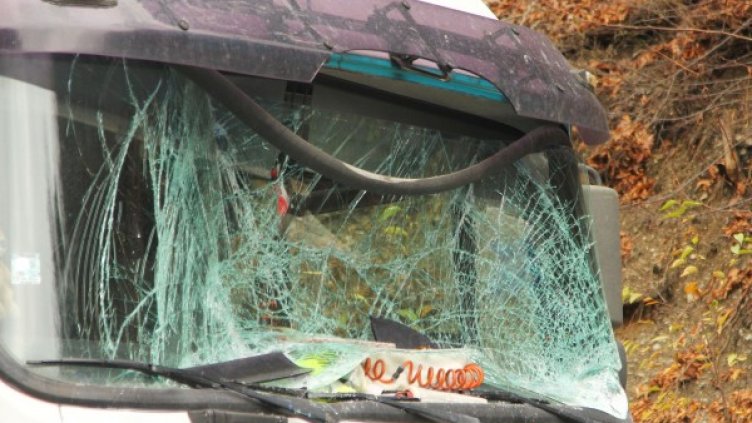 Снимка: Булфото, архив