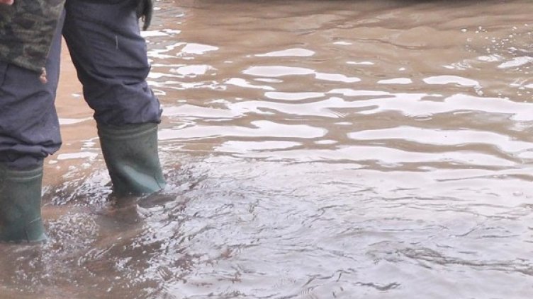 Снимка: Булфото, архив