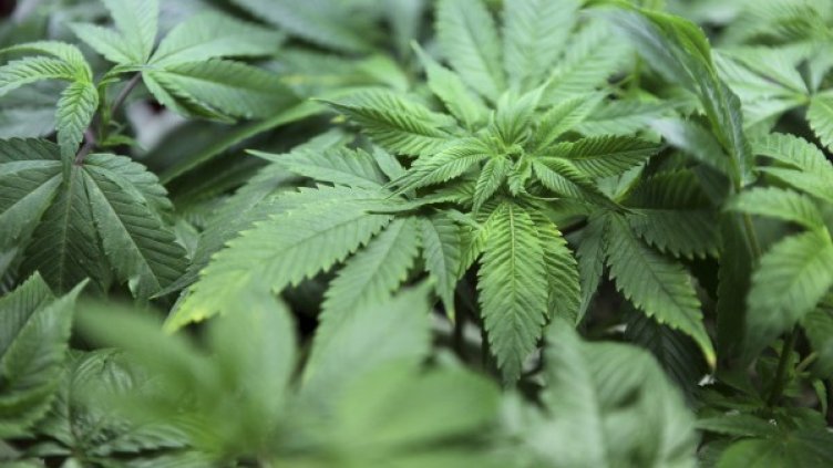 Снимка: архив, Reuters