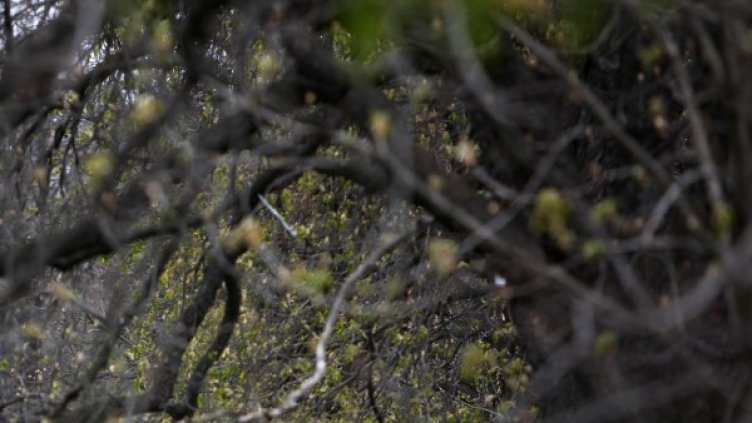 Снимка: архив, Reuters