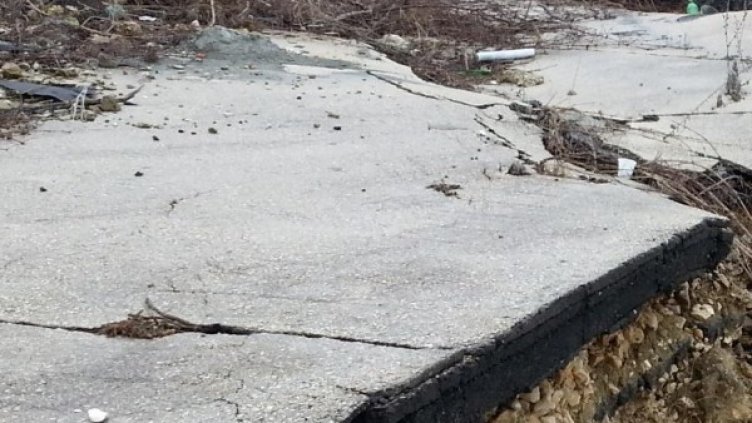 Снимка: Булфото, архив