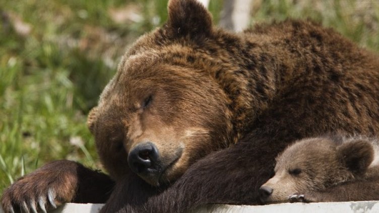 Снимка: Reuters, архив