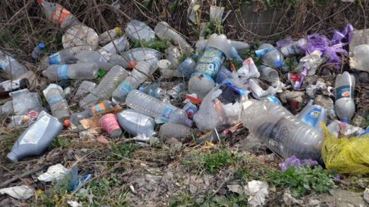 Снимка: Булфото, архив