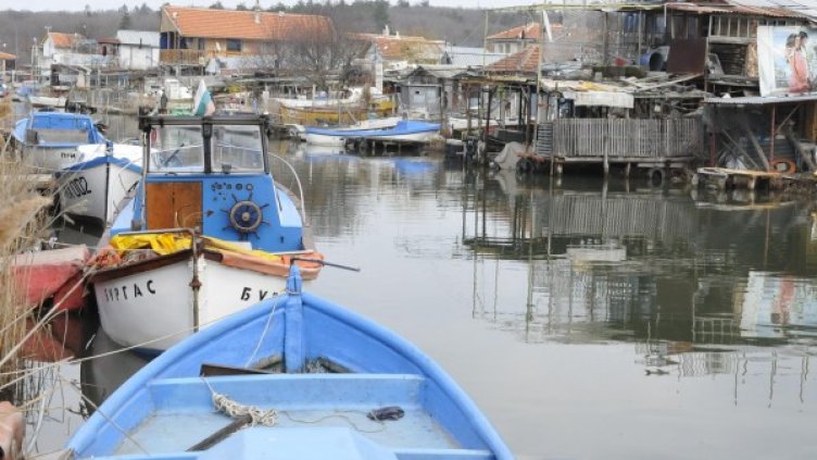 Снимка: архив, Булфото