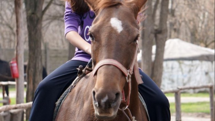 Снимка: архив, БулФото