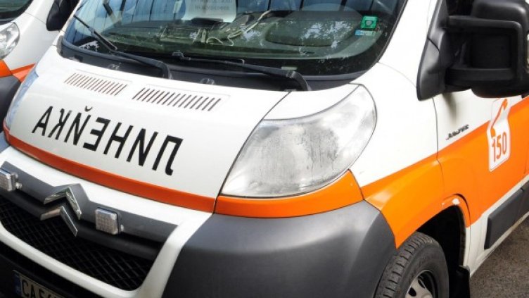 Снимка: архив Булфото