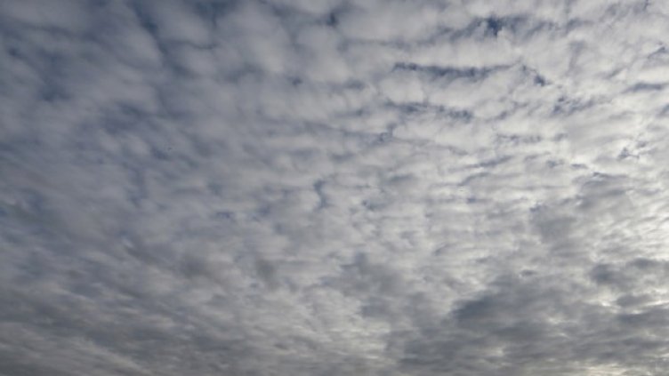 Снимка: Архив Reuters