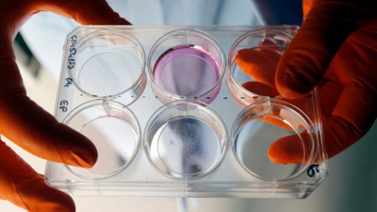 Снимка: архив, Reuters