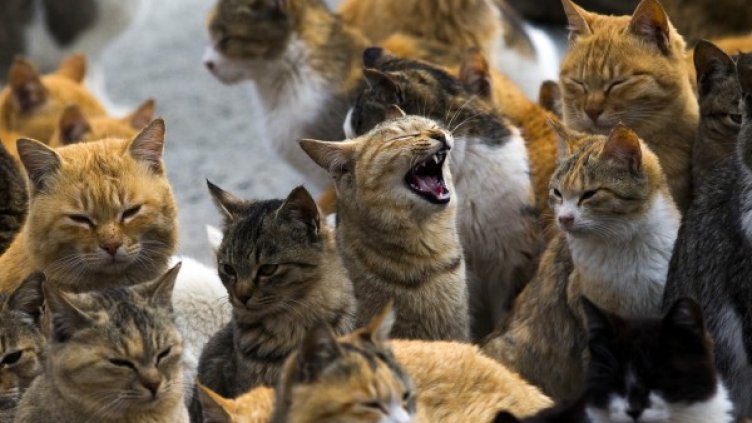 Снимка: Reuters