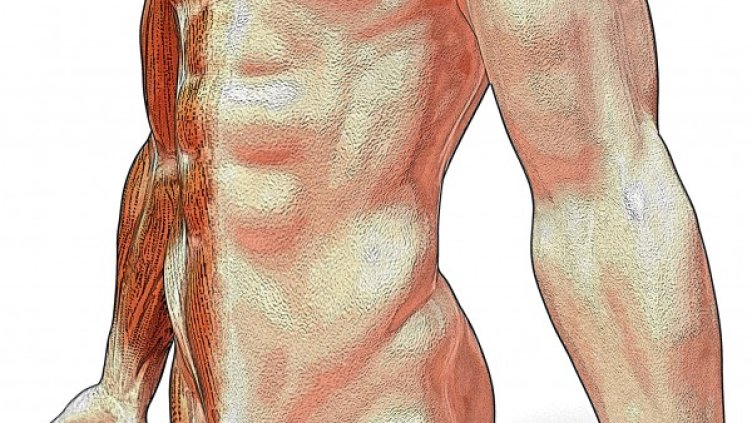 Снимка: freeimages.com