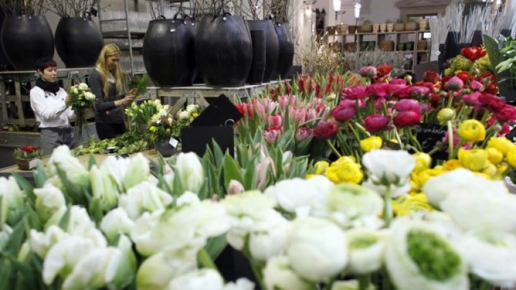 Снимка: Reuters