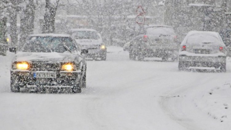 Снимка: Булфото, архив