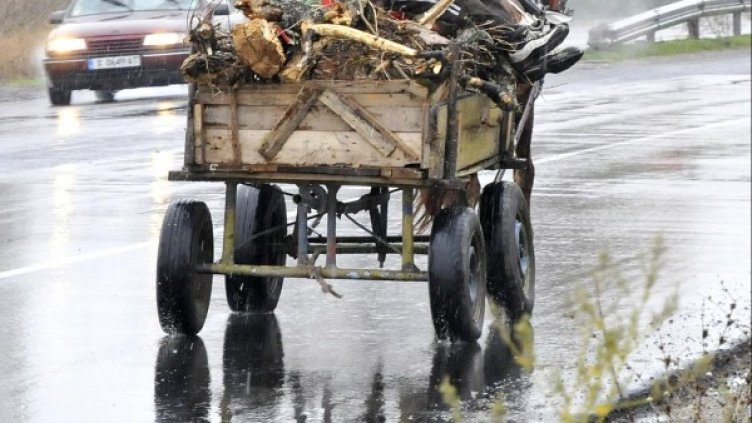 Снимка: архив Булфото