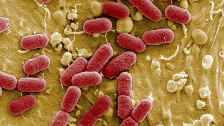 Снимка: архив, Reuters