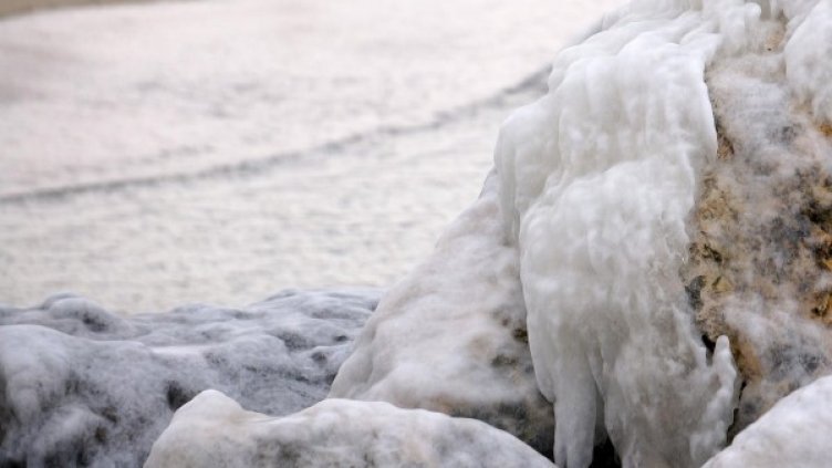 Снимка: архив, БулФото