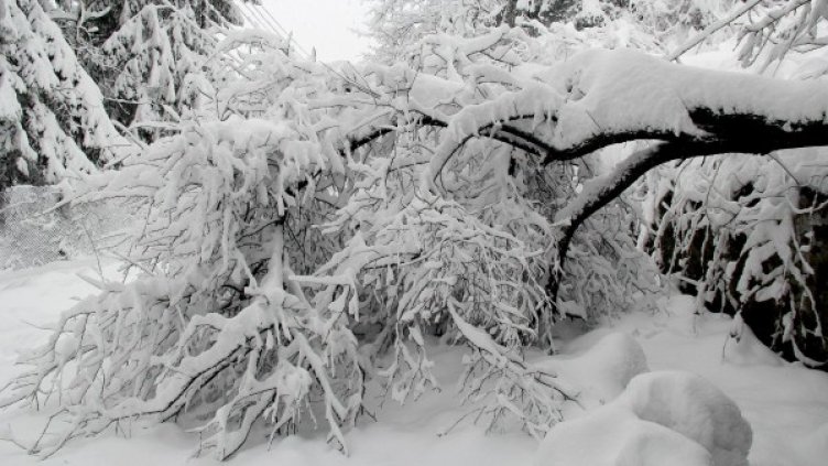 Снимка: Архив БТА