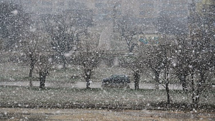 Снимка: БТА, архив