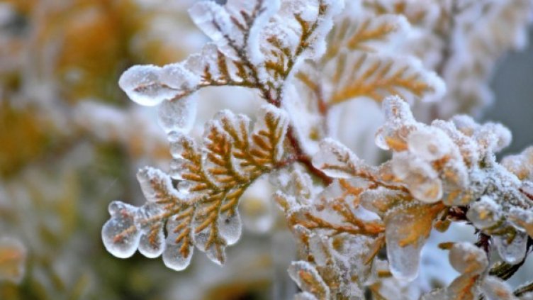 Снимка: архив, БулФото