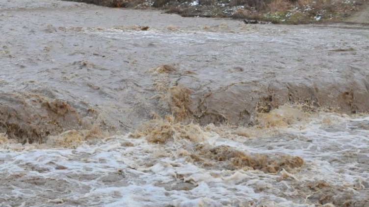 Снимка: БТА, архив