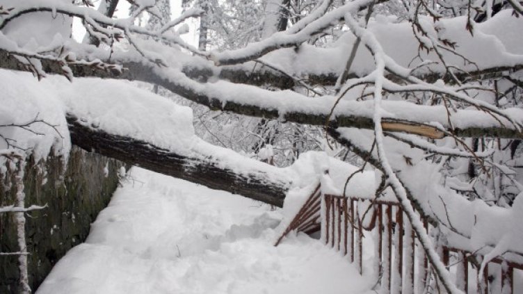 Снежната обстановка в Смолян. Снимка БТА