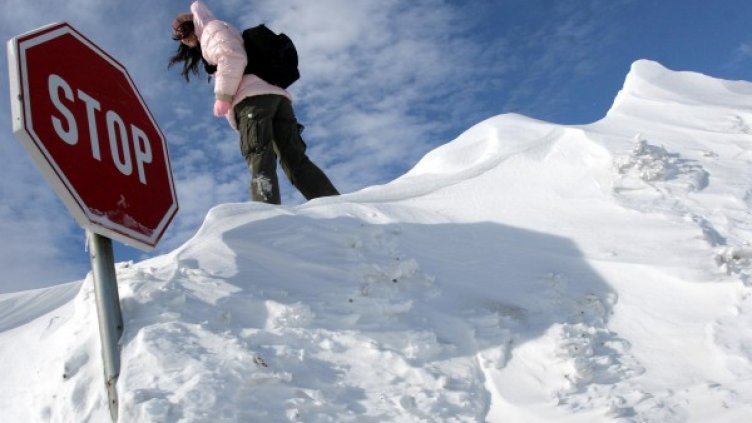 Снимка: Impact Press Group