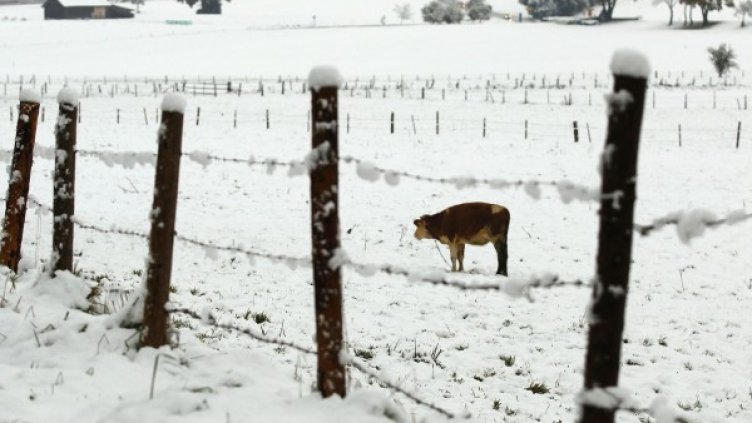 Снимка: Reuters, архив