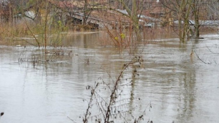 Снимка: Булфото, архив