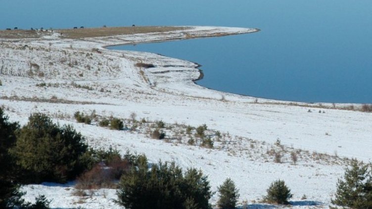 Архив: Булфото