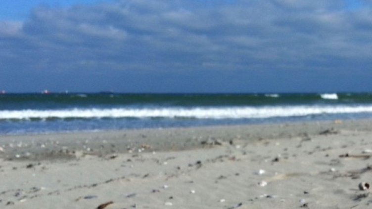 Снимка: Архив Булфото