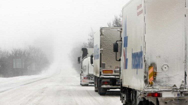 Снимка: архив Булфото