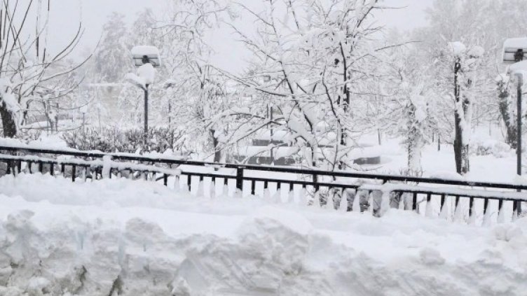 Снимка: архив, Булфото