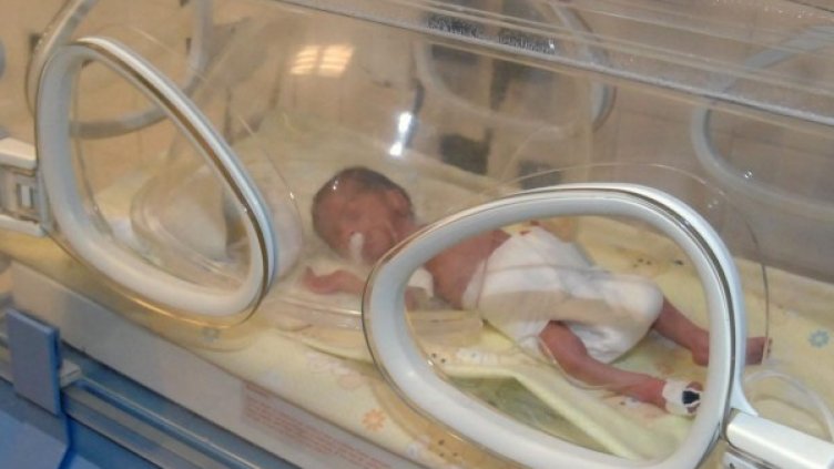 Снимка: Булфото, архив