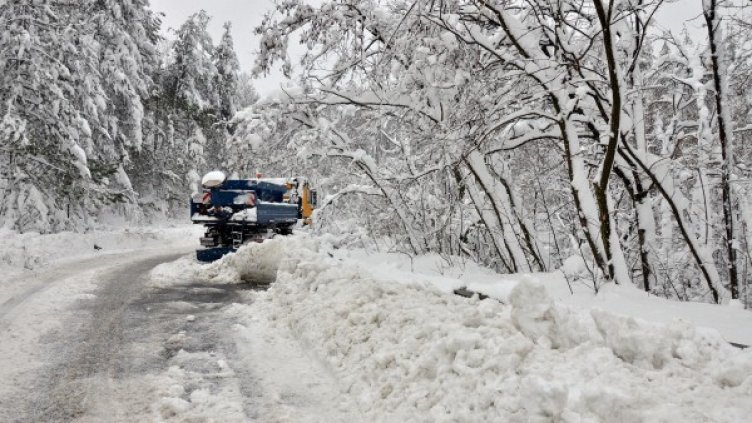 Снимка: архив Булфото