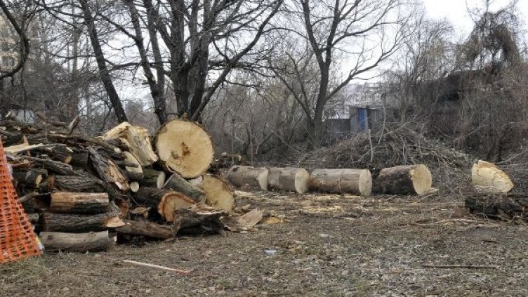 Снимка: архив, Булфото