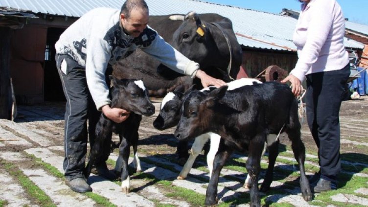 Снимка: Булфото
Снимка: Булфото