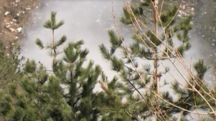 Снимка: Dnes.bg